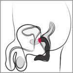 Rebel prostate plug recharge - obrazek 8