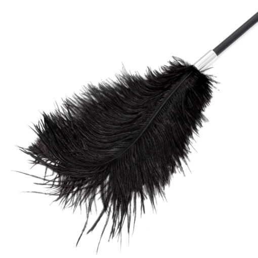 Fetish b-series tickler & whip 1.0 - obrazek 5