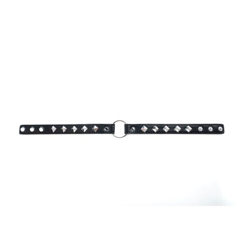 Adjustable collar - obrazek 4