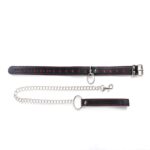 Collar with detachable leash - obrazek 3