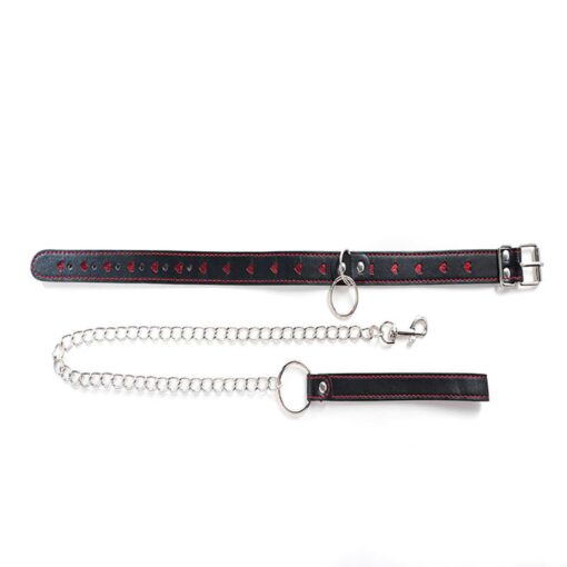Collar with detachable leash - obrazek 3