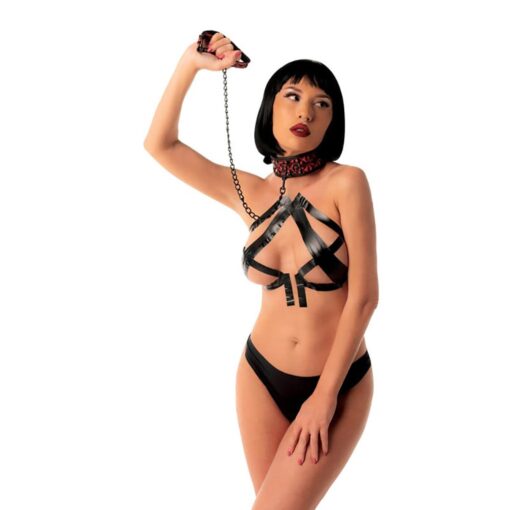 Collar with detachable leash - obrazek 2