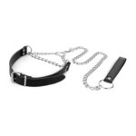 Bedroom fantasies - collar with leash
silver - obrazek 4