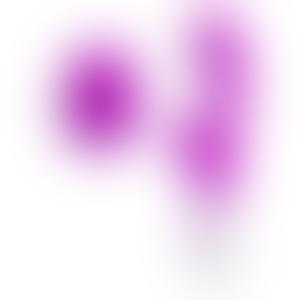 Pretty Love Moth wibrator króliczek