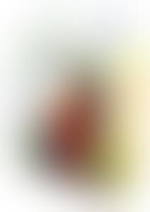 B - Series Lyla Isaura lalka dmuchna erotyczna