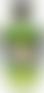 Shunga Green Tea olejek o smaku zielonej herbaty 100 ml